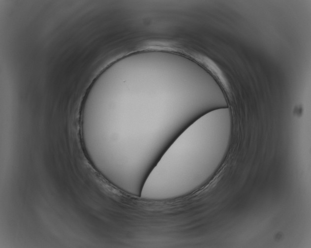 X0000096631435200802050923