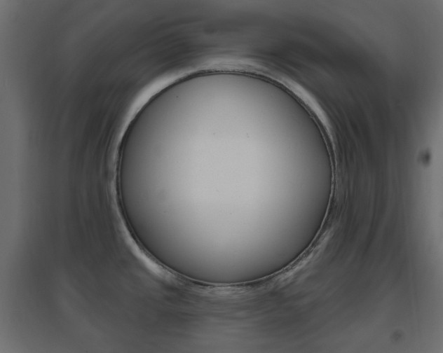 X0000096631437200802050923