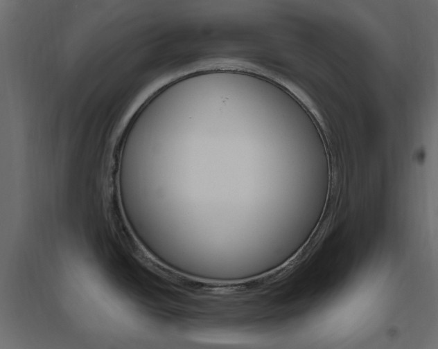X0000096631438200802050923