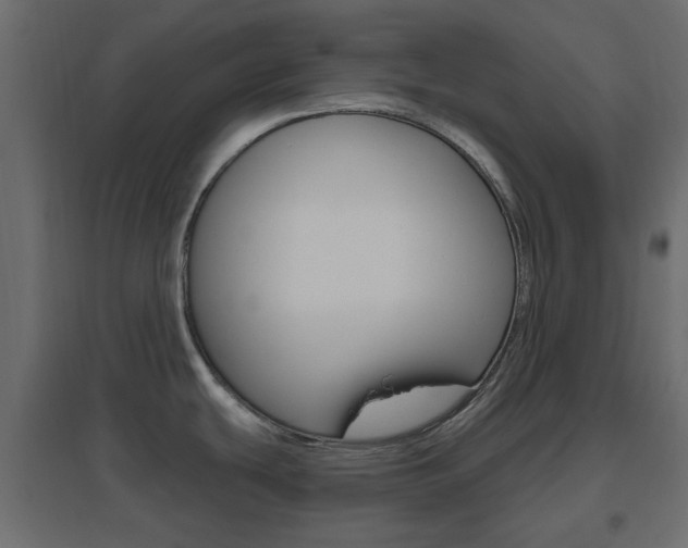 X0000096631439200802050923