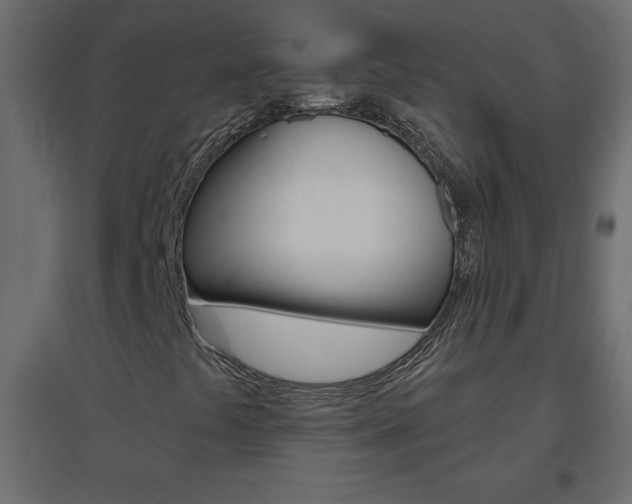 X0000096631441200802050922