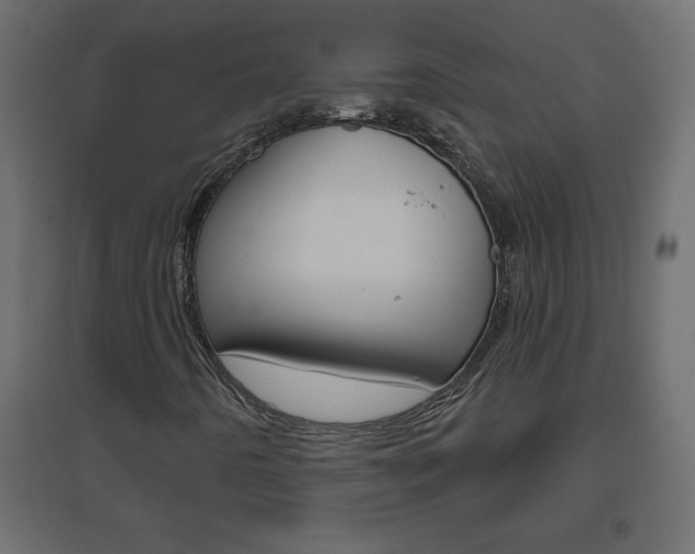 X0000096631442200802050922