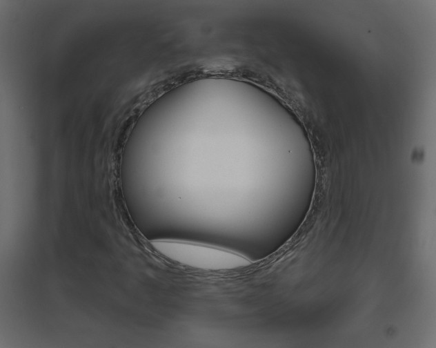 X0000096631445200802050922