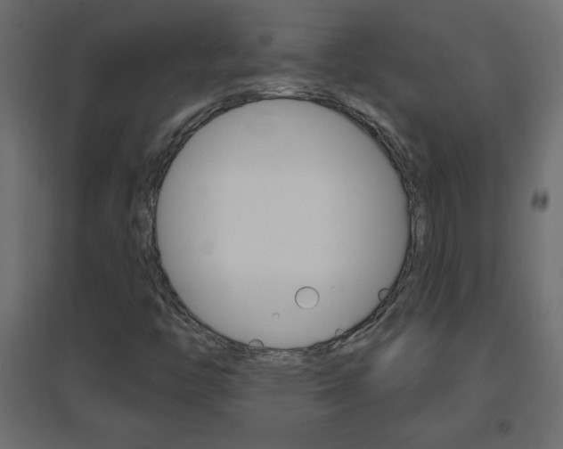 X0000096631446200802050922