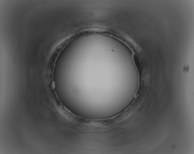 X0000096631448200802050922