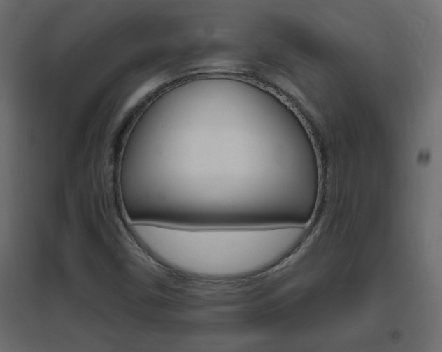 X0000096631450200802050922