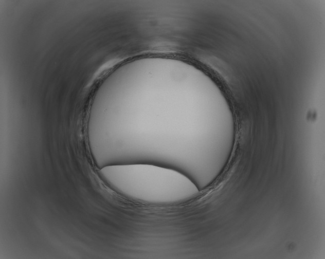X0000096631451200802050922