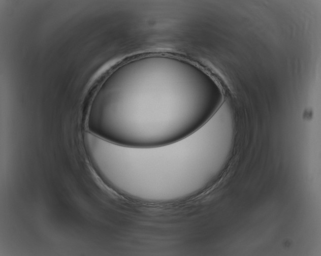 X0000096631452200802050922