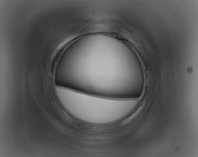 X0000096631453200802050922