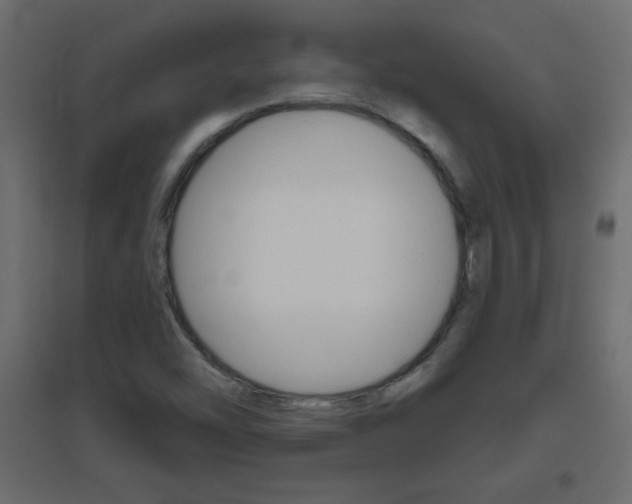 X0000096631454200802050922