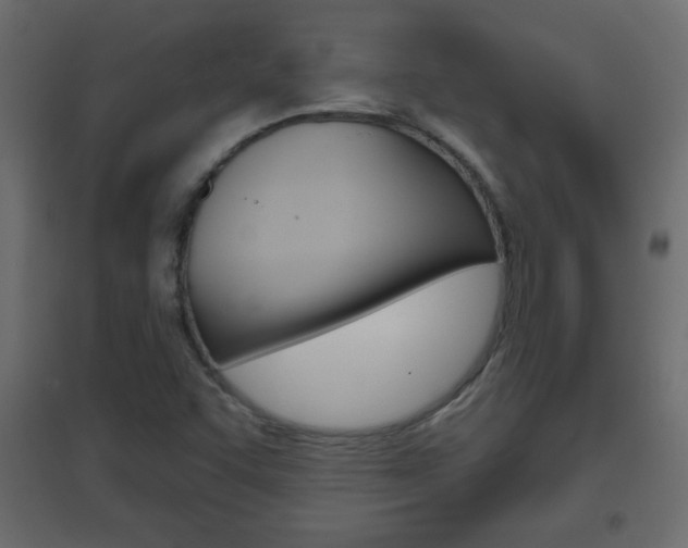 X0000096631455200802050922
