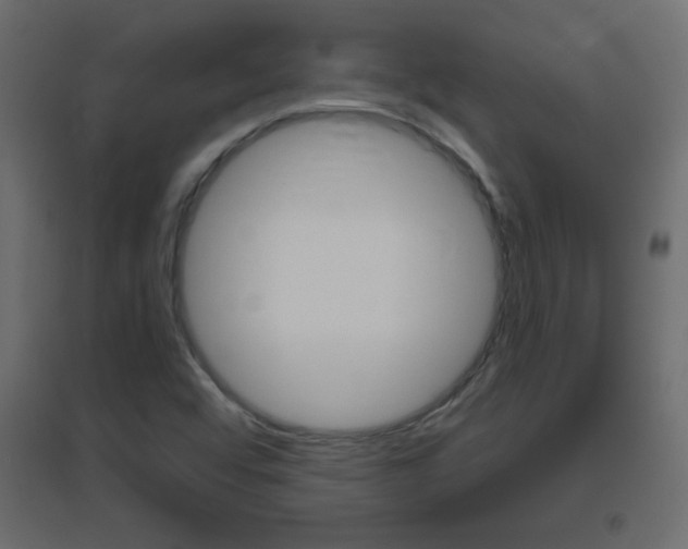 X0000096631456200802050922
