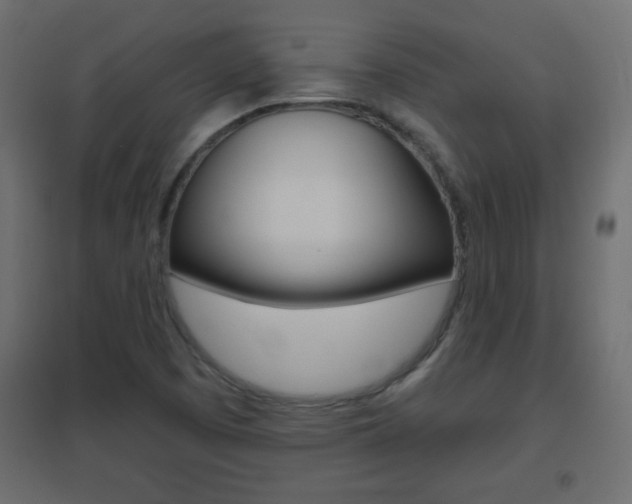 X0000096631457200802050922