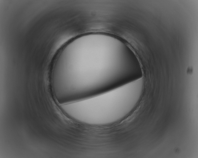 X0000096631458200802050922