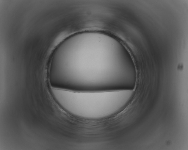 X0000096631459200802050922