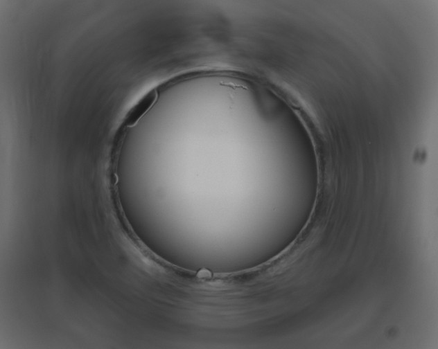 X0000096631460200802050922