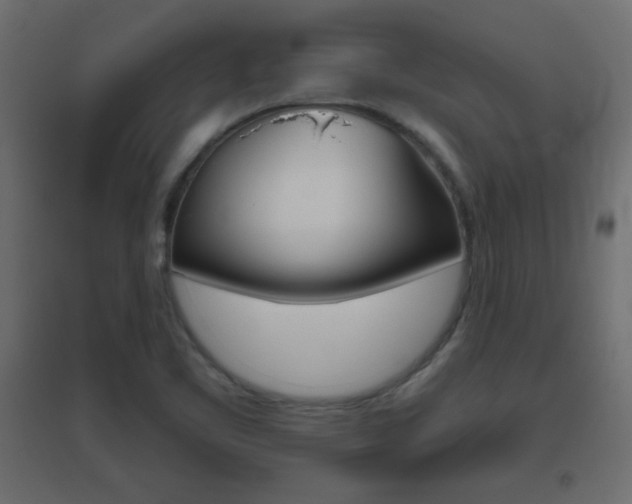 X0000096631461200802050922