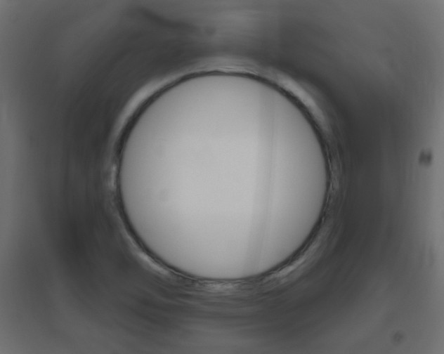 X0000096631462200802050922