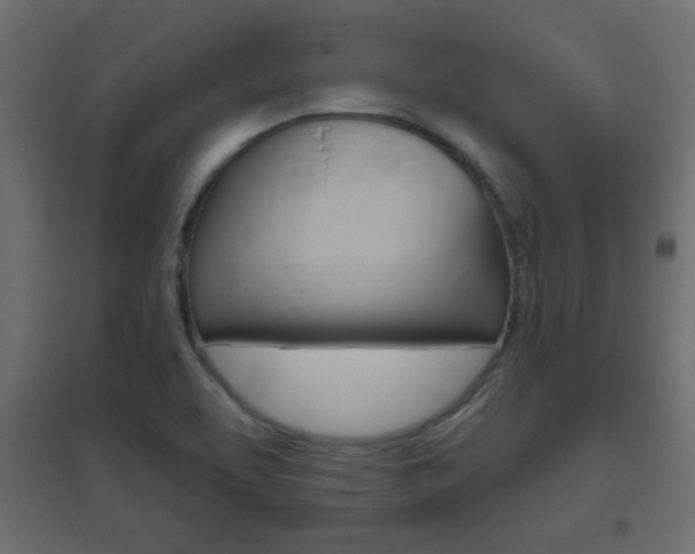 X0000096631463200802050922