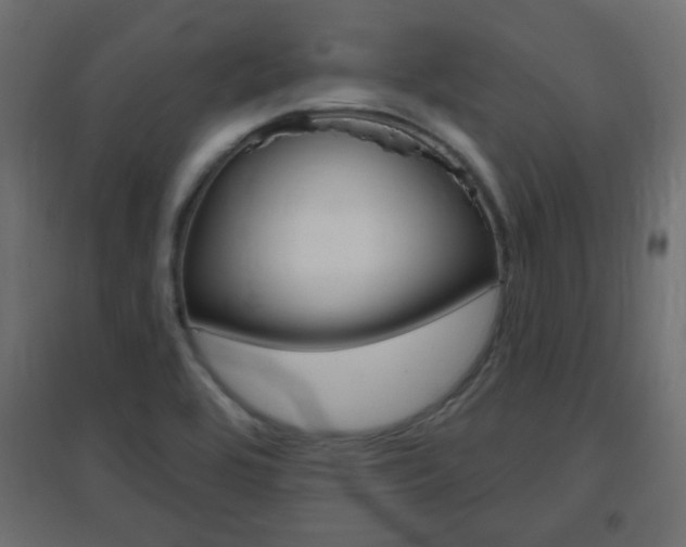X0000096631464200802050922