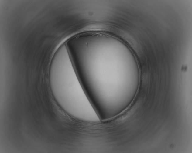 X0000096631465200802050922
