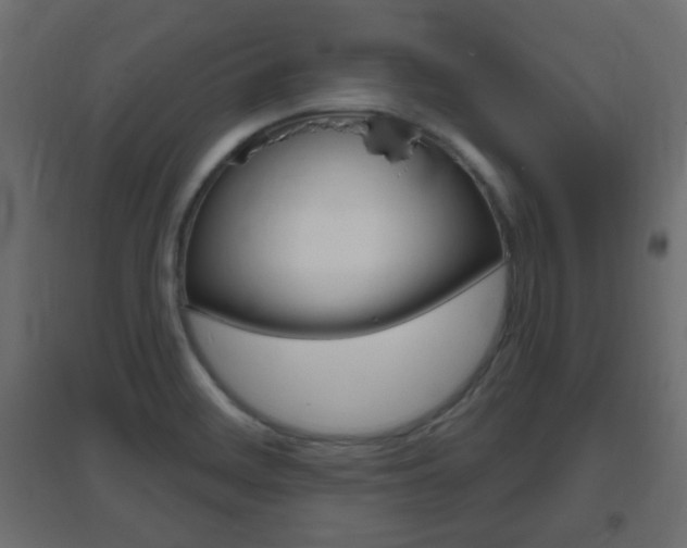 X0000096631468200802050922