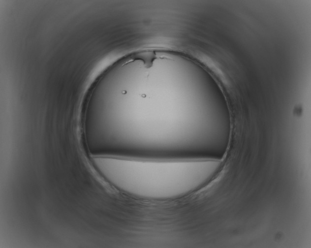 X0000096631469200802050922