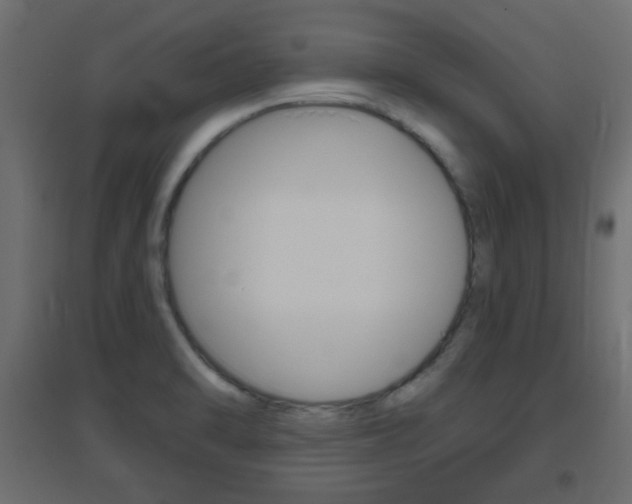 X0000096631470200802050922
