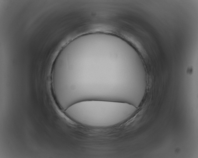 X0000096631471200802050922
