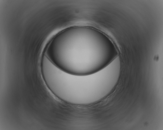 X0000096631472200802050922