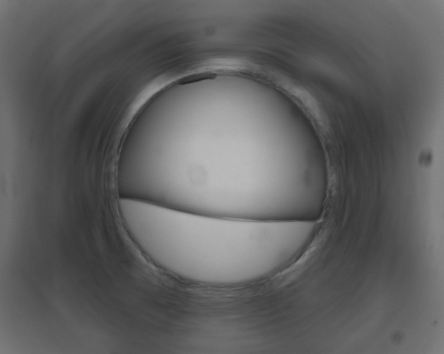 X0000096631473200802050922