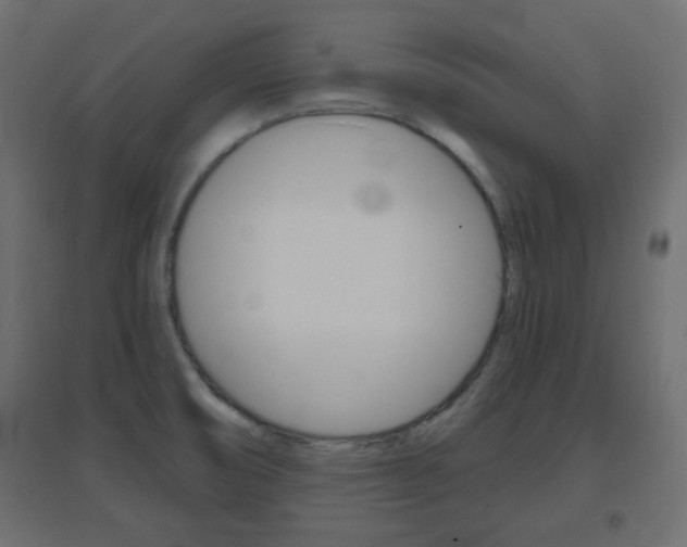 X0000096631474200802050922