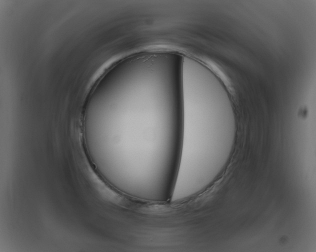 X0000096631476200802050922