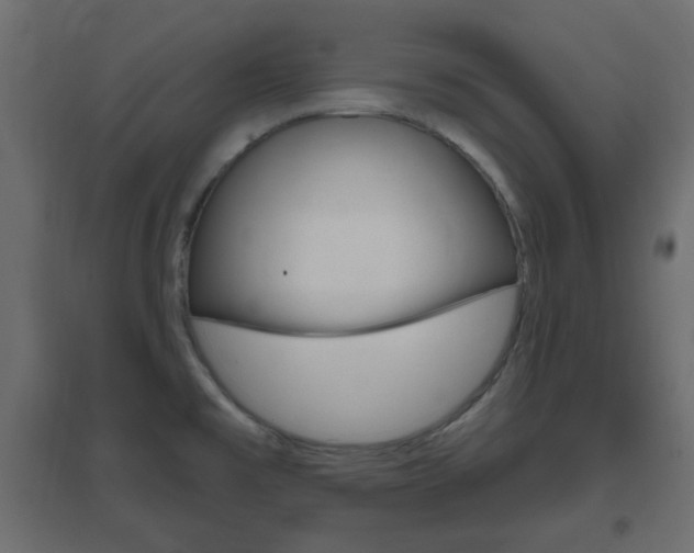X0000096631477200802050922