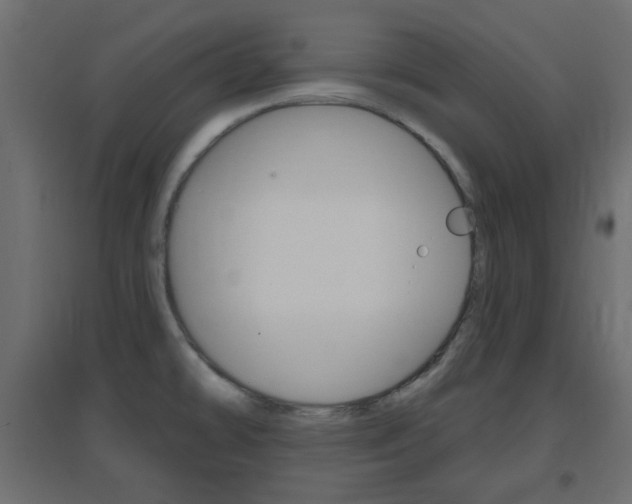 X0000096631478200802050922