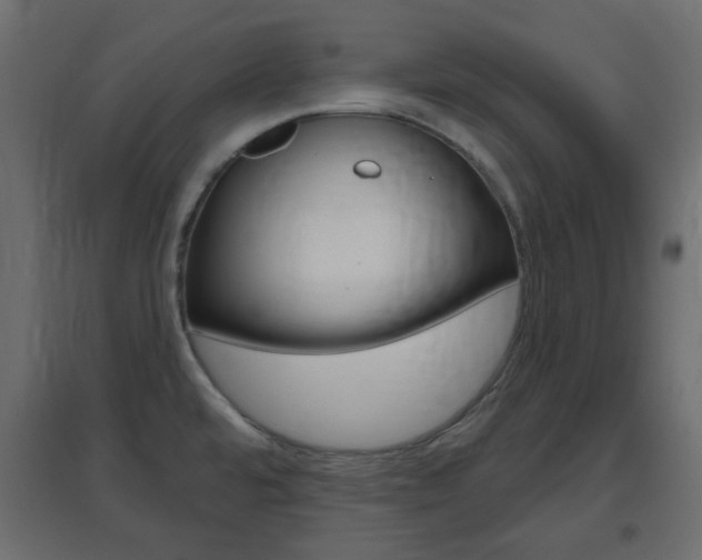 X0000096631480200802050922