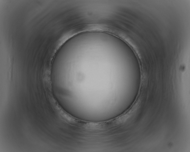 X0000096631481200802050922