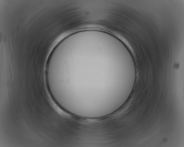 X0000096631482200802050922