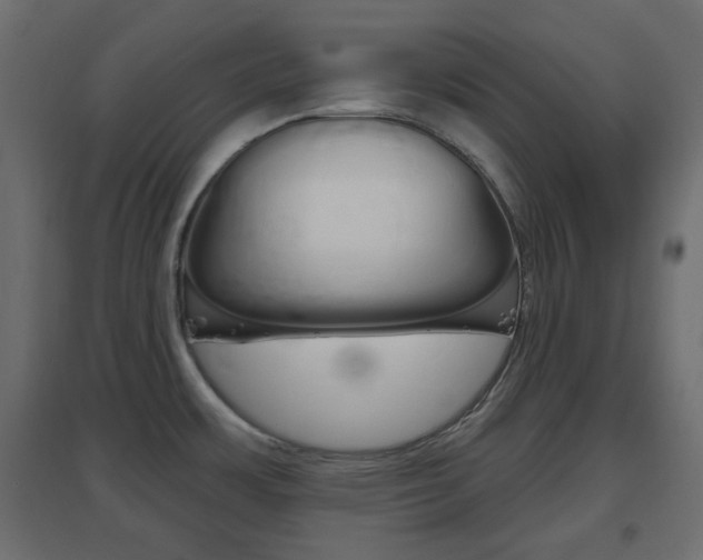 X0000096631483200802050922