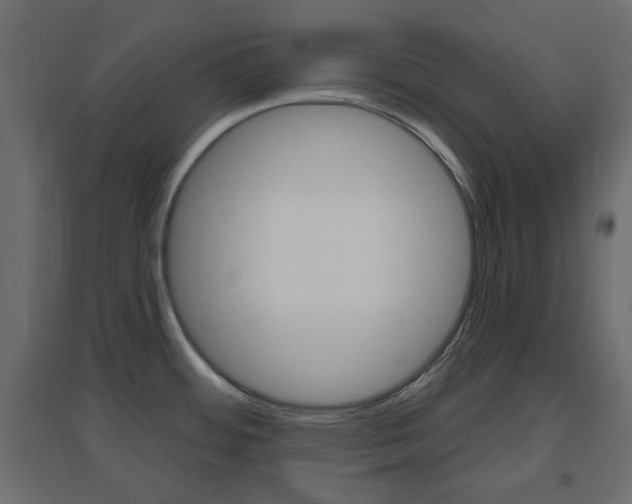 X0000096631484200802050922
