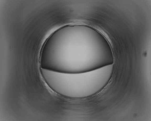 X0000096631485200802050922