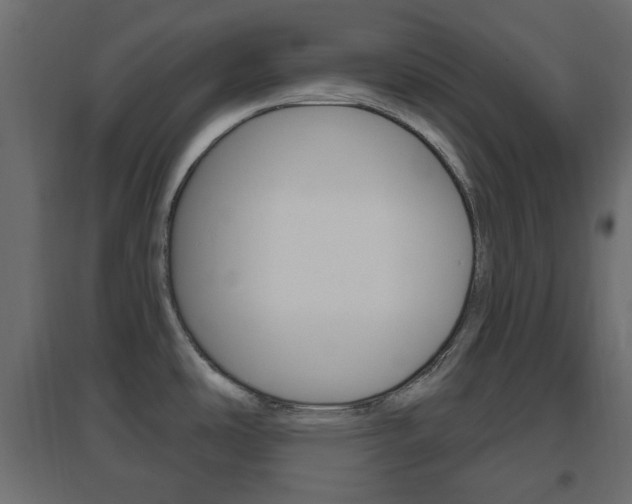 X0000096631486200802050922