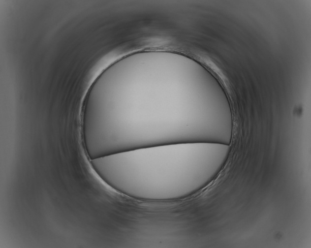 X0000096631487200802050922
