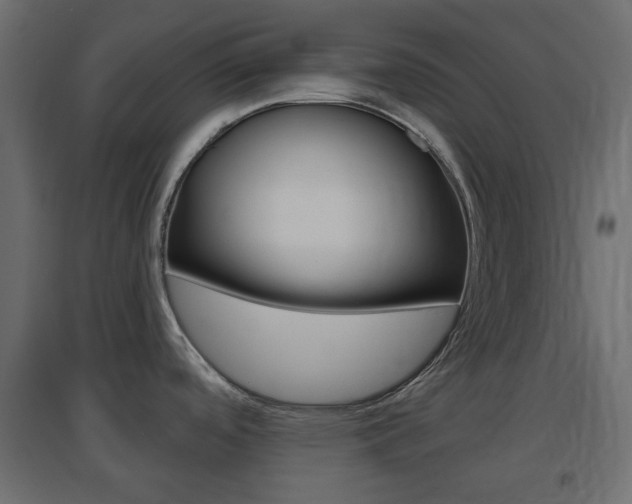 X0000096631488200802050921