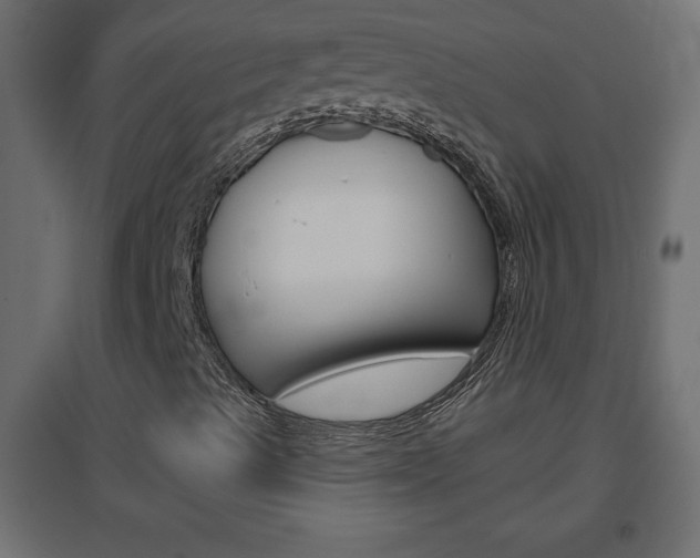 X0000096631489200802050921