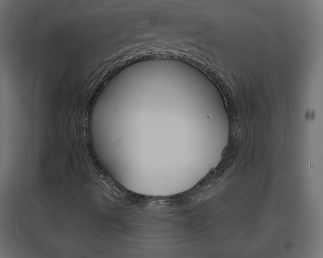 X0000096631490200802050921