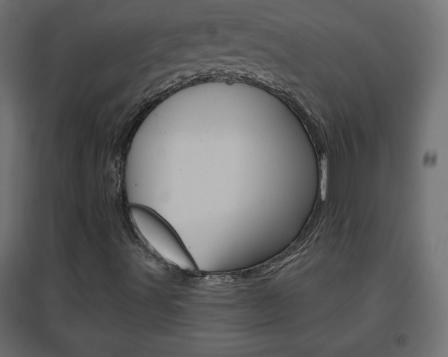 X0000096631491200802050921