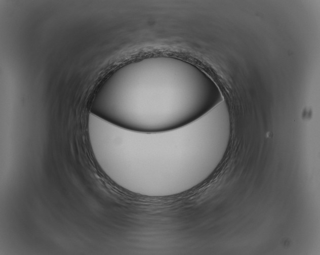 X0000096631492200802050921