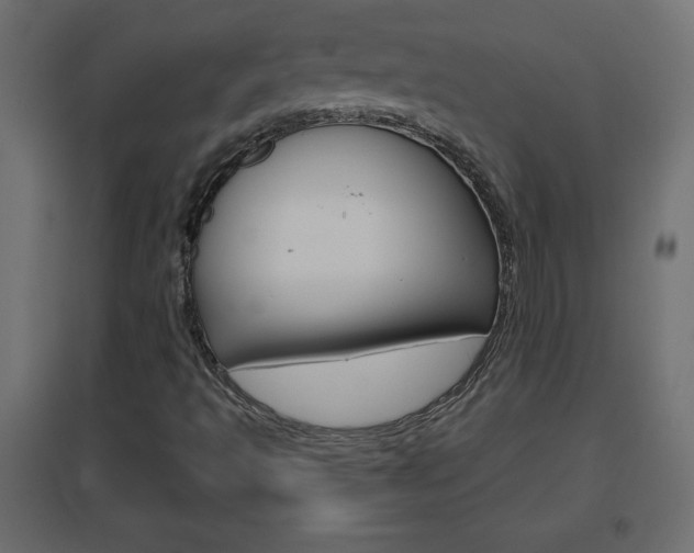 X0000096631493200802050921