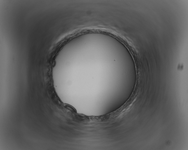X0000096631494200802050921